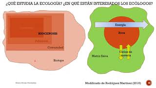 Visión Holística y Reduccionista en Ecología [upl. by Menides]