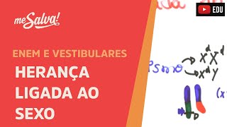 Me Salva GEN21  Genética  Herança ligada ao sexo [upl. by Auburta]