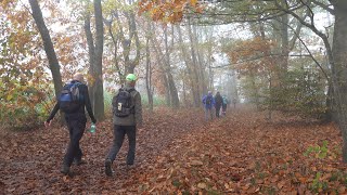 Op wandel met de Tongerse Wandelvrienden in OudTurnhout en Turnhout [upl. by Annette]