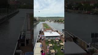 Majestic Cruise Ship glides under Wurzburg Old Bridge 🚢✨ shortsfeed shorts shortsbeta [upl. by Nnylaf464]