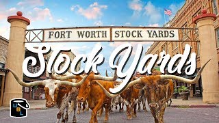 Fort Worth Stockyards  Cowboy Experience [upl. by Leivad823]