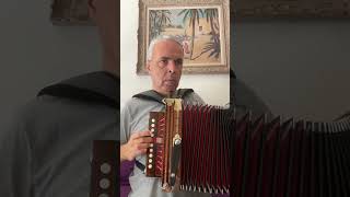 N Lygeros  John Naughton’s ornament Cajun Accordion Martin lygeros music cajun [upl. by Genesia875]