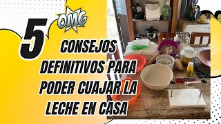 Las 5 claves para que tu leche cuaje errores que debes evitara la hora de hacer queso en casa [upl. by Anyale]