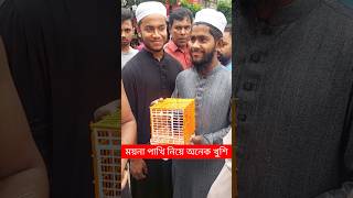 ময়না পাখি নিয়ে হুজুর অনেক খুশি  ময়না পাখি  Moyna Pakhi  ময়না পাখির বাচ্চা  moina Pakhi shorts [upl. by Pawsner]