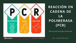 PCR técnicas de biología molecular [upl. by Lemuelah822]