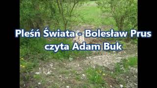 PLEŚŃ ŚWIATA Bolesław Prus Czyta Adam Buk [upl. by Bordie]