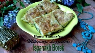 Ispanaklı Börek Börek Tarifleri [upl. by Zampino643]