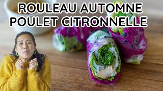 ROULEAU DE PRINTEMPS AU POULET CITRONNELLE  RECETTE ASTUCE POUR BIEN ROULER  SAUCE 💜 [upl. by Romulus460]