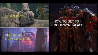 UNCUT GUIDE Offline  Pureblood Knights Medal  Portal Teleport Mohgwyn Palace  FARM LOCATION [upl. by Theresa705]