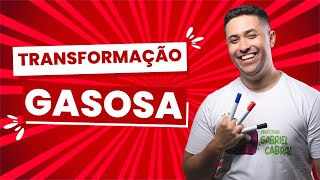 🧪 TRANSFORMAÇÕES GASOSAS TEORIA E EXERCÍCIOS [upl. by Lebatsirc765]