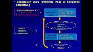 14 IMMUNOLOGIE S5  Mécanismes de défense part1 [upl. by Sivert]