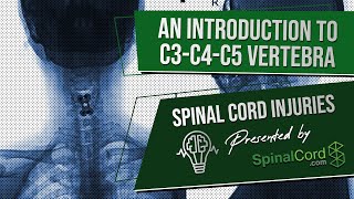 C3 C4 C5 Definitions Cervical Spinal Cord Injury Symptoms Causes Treatments and Recovery [upl. by Otnicaj]