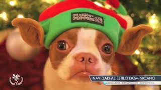 navidad al estilo dominicano • Trompo loco [upl. by Pepito801]