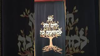 Is this Necessary halacha jewish customs judaism torah [upl. by Animlehliw]