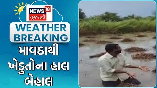 Gir Somnath Unseasonal Rain  માવઠાથી ખેડુતોના હાલ બેહાલ  Video Viral  Crop Damage  News18 [upl. by Linneman]