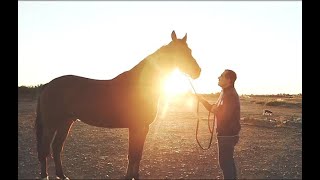 Le Cheval Animal guérisseur de lestime de soi Christophe Seguin [upl. by Newbold]