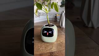 LINK IN BIO 🎅🪴 planter plants cuteplanter plantlover viral [upl. by Akemet]