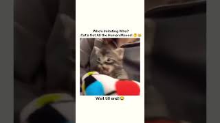 This Cat Imitates Its Owner and It’s Hilariously SpotOn 🐱😂 shorts funny [upl. by Notnelc]