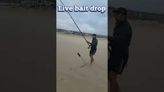 Livebait drop with DIY fishing drone [upl. by Laehctim]