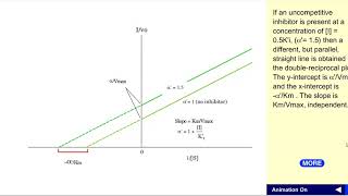 Lineweaver Burk for uncompetitive inhibitor [upl. by Fancy]