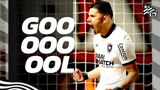 Gols  AtléticoGo 1x4 Botafogo  Brasileirão [upl. by Airamanna]