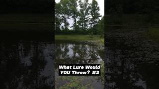 What Bass Fishing Lure Would YOU Use With Weeds and Murky Water [upl. by Violeta]