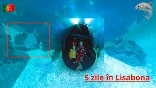 Neam întâlnit cu rechinii în Lisabona  DailyVlog [upl. by Dressel189]