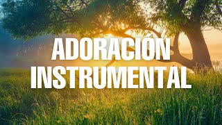 💆🏻 ♂Música Cristiana Instrumental Adoración Instrumental Worship💆🏻 ♂️ [upl. by Etnoid664]