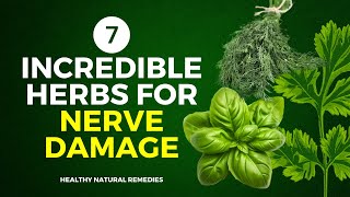 7 Incredible Herbs For Nerve Damage Prevent Neuropathy [upl. by Ontine]