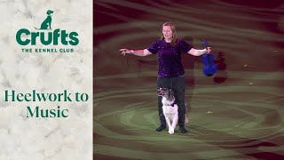 Heelwork To Music Competition Winner  Crufts 2024 [upl. by Yatnahs]