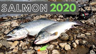 How to Drift Fish for Salmon Puyallup River 2020 [upl. by Tolliver203]