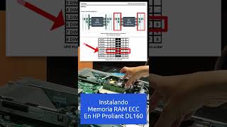 Instalando memoria en servidor HP server HP RAM rack servidor homelab [upl. by Rosette604]