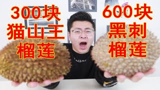 600元的黑刺榴莲vs300元的猫山王榴莲到底谁更好吃？ [upl. by Ramey732]