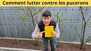 Comment lutter contre les pucerons [upl. by Lazos]