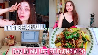 TYPICAL STUDY DAY VLOG  STUDY WITH ME FOR MY FINAL YEAR EXAMS [upl. by Trah757]