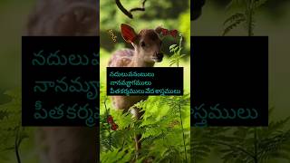 Antha rama mayam trisakthidham shreeram aayodhya trending ytshorts rammandir [upl. by Llertnek]