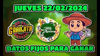 ✅ DATOS DE LOTTO ACTIVO Y LA GRANJITA PARA HOY 22022024  Tus Datos Fijos 🎯 [upl. by Ajax]