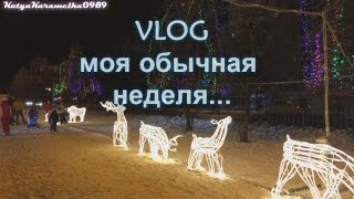 ✔ VLOG Моя неделя Что я ношу каждый день Какие продукты покупаю Мой первый суп Кружевное белье [upl. by Aynam207]