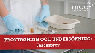 Provtagning och undersökning  Feacesprov [upl. by Maris]