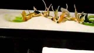 Alinea Restaurant Chicago quotIce Fishquot meal [upl. by Willumsen]