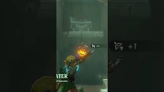 How to beat the Power of Water Shrine in 40”  Zelda TotK [upl. by Hras]