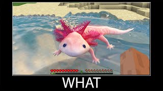 Minecraft wait what meme part 67 realistic minecraft axolotl [upl. by Fusco]