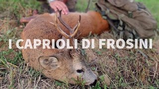 CACCIA AL CAPRIOLO IN TOSCANA  ROE DEER HUNTING IN TUSCANY [upl. by Atilehs]