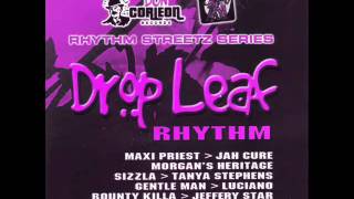 Drop Leaf Riddim [upl. by Etnauq]