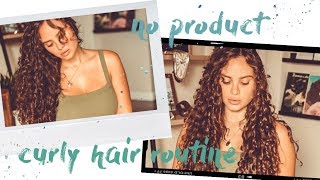 no product curly hair routine [upl. by Haas707]