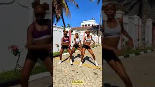 Great Adamz ft Terry B DIRTY WINE Dance cover by RAGDancers dancevideo explore [upl. by Dragde387]