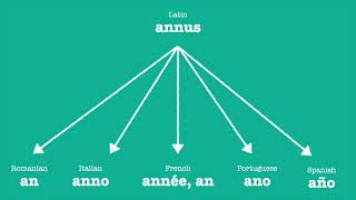 Romance Languages Comparison Time [upl. by Acinyt]