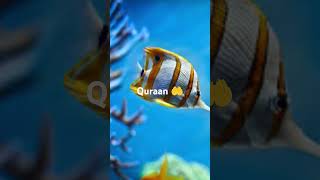 Surah inshiqaq Beautiful Recitation with urdu translationquran islamic [upl. by Bill]