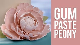 How to Make Gum Paste Peony Flowers [upl. by Drofub]