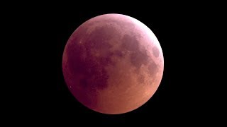 Mondfinsternis Livestream von Astroclub Radebeul eV [upl. by Ardnuaed328]